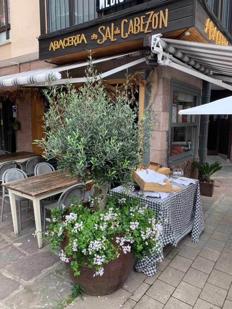 Fachada de La Abacería de la Sal en Cabezón de la Sal — terraza con olivo y rótulo